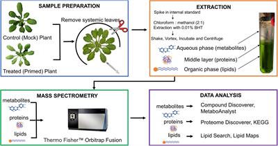 Three-in-One Simultaneous Extraction of Proteins, Metabolites and Lipids for Multi-Omics